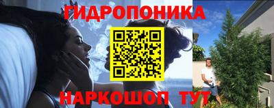 спиды Обь